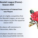 waratah league 2023